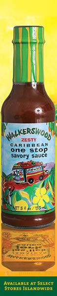 Walkerswood One Stop Savory Sauce